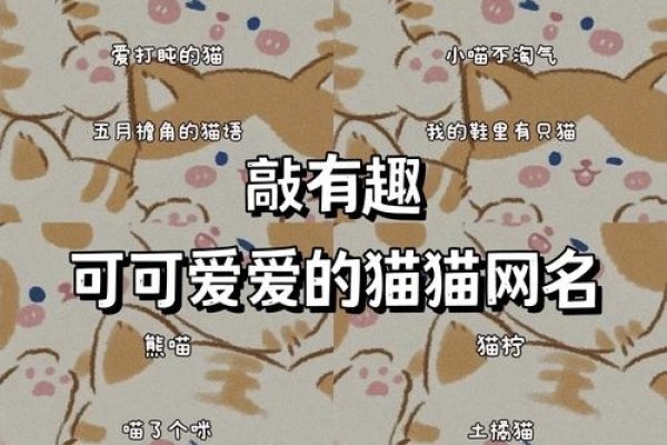 有内涵网名推荐乖囧猫°、晴栀°、如秋霜漫舞般的淡然脱俗气韵-方知甜
