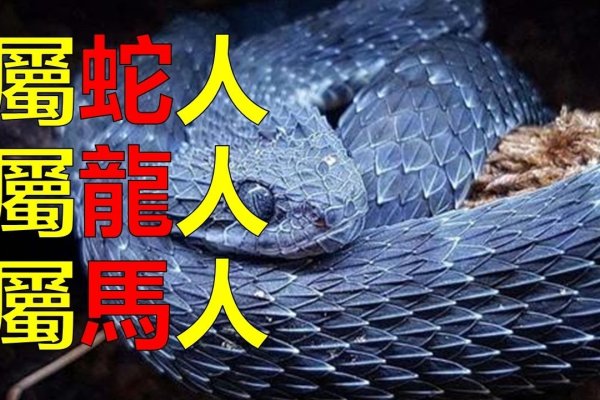 一四不减九回头，生肖谜底是羊或蛇。-方知甜