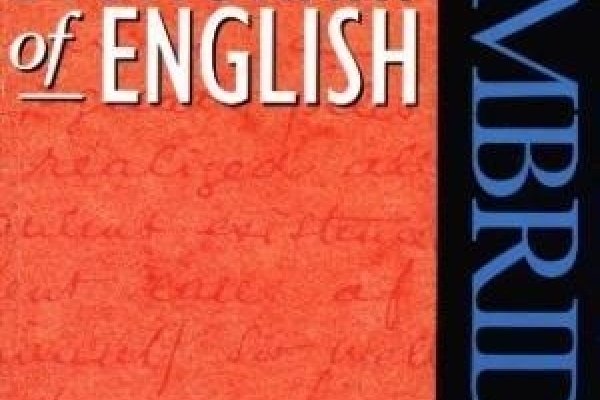 英文名词典，解锁语言世界的奇妙词汇世界-方知甜