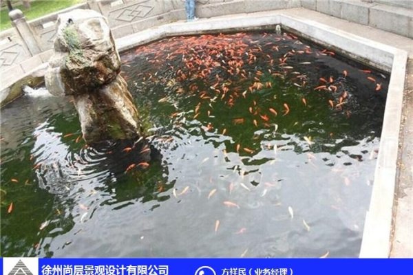 养鱼风水，守护水质生态的智慧之道-方知甜