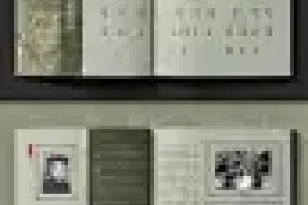 印刷家谱，跨越时空的家族记忆与文化传承-方知甜