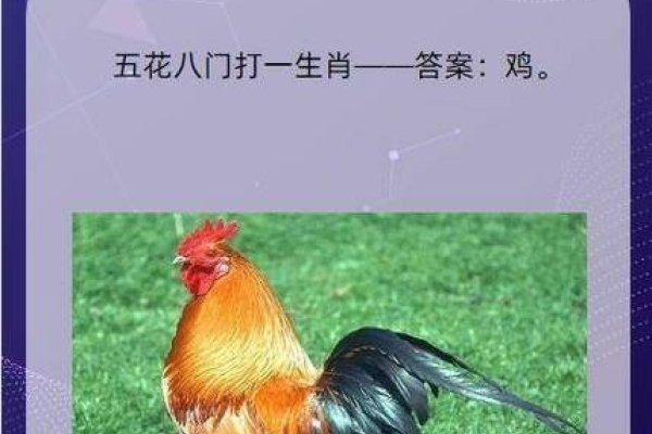 一箭双雕，生肖鸡与蛇的双重隐喻-方知甜
