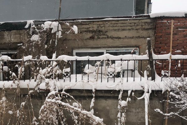 一月四日，冬日里的温暖记忆-方知甜