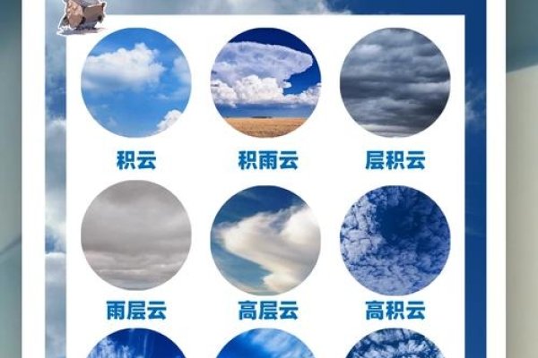 云云是什么意思,探索云的多重含义与影响-方知甜