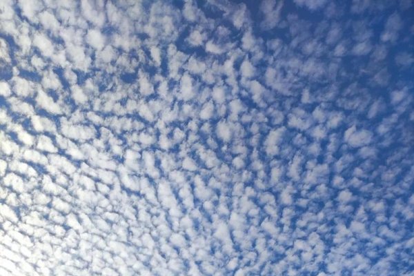 云云指重复事物或现象 。-方知甜