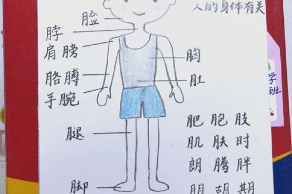 月字旁的字多与身体部位相关，含腾寓意宝宝发育。-方知甜