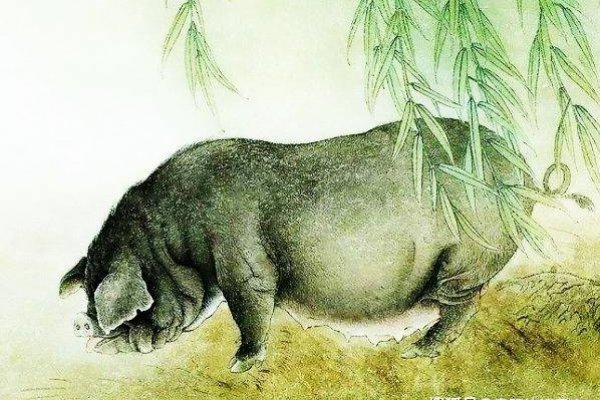 坐吃山空指的是生肖猪-方知甜