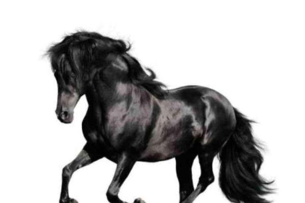 正大光明代表生肖马-方知甜