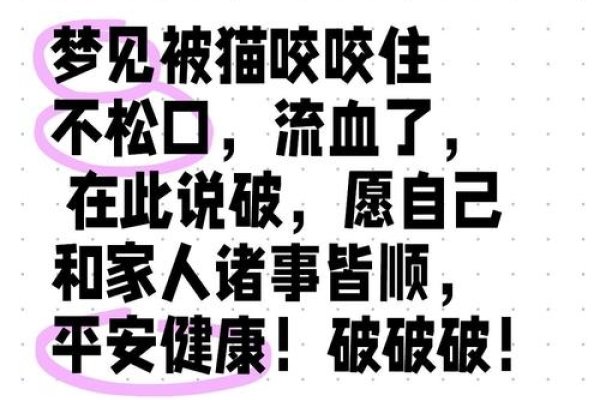周公解梦，梦见被猫咬预示压力缓解 。-方知甜