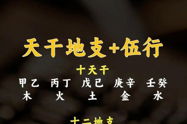 自己动手，掌握天干地支五行，精准算命不求人-方知甜