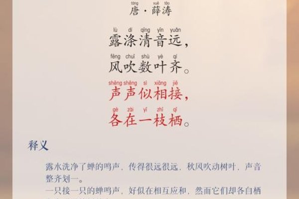 知了的拼音，探索自然之音的奥秘-方知甜