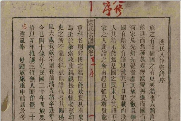 张氏家谱网，数字化时代的家族记忆守护者-方知甜