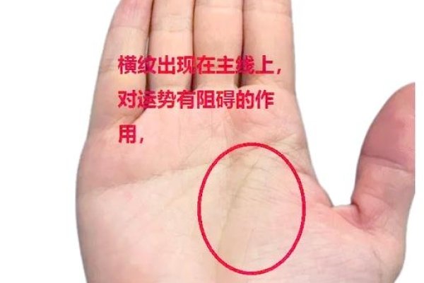 早死手相关键信息-方知甜