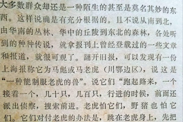 战无不胜指的是虎-方知甜