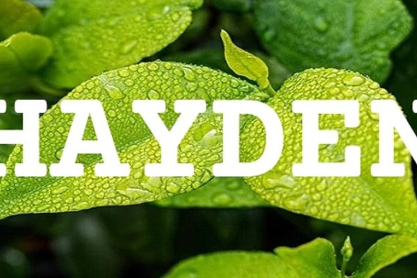 中文名海平的英文取名为Hayden-方知甜