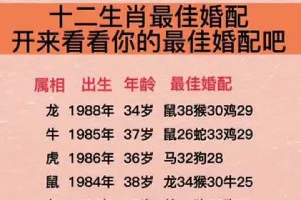 在线合婚，打破传统婚姻边界，开启新体验之旅-方知甜