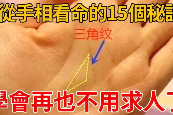怎么看手相算命，揭秘古老智慧的现代解读-方知甜