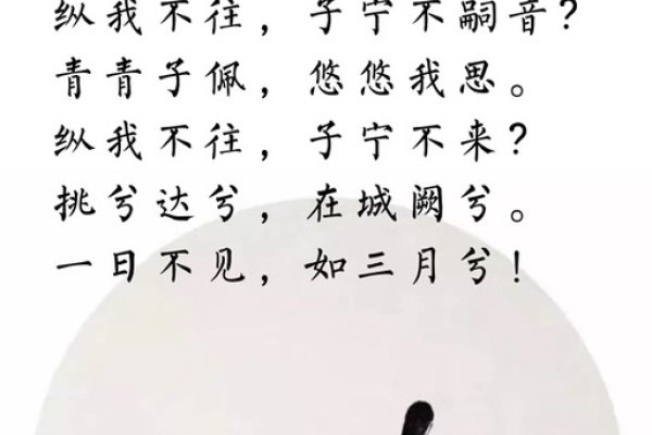 子衿情深,一生相伴-方知甜