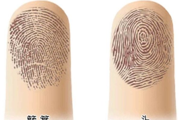 指纹算命，揭开数字背后的神秘面纱-方知甜