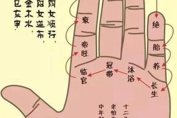 指甲算命，探索古老而神秘的微相学-方知甜