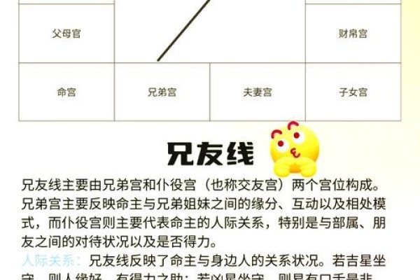 在线免费算命，一键解锁命运密码-方知甜