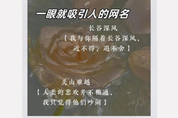 在虚拟世界中绽放,打造一个与众不同的网名-方知甜