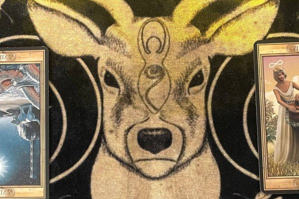 在线塔罗牌，解锁内心深处的神秘力量-方知甜