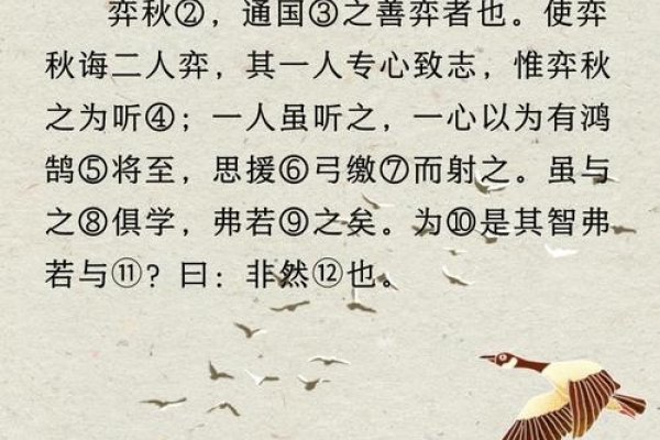 知秋相学，探索智慧与美学的融合之道-方知甜