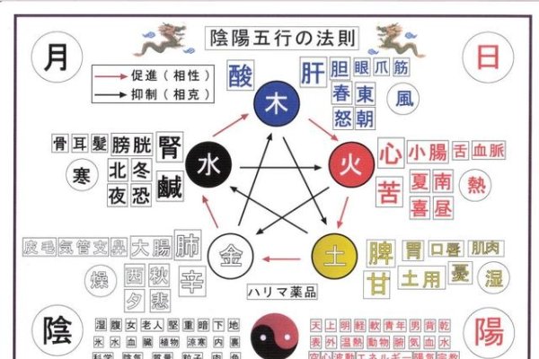 周易五行八字测算，洞悉个人命运吉凶-方知甜